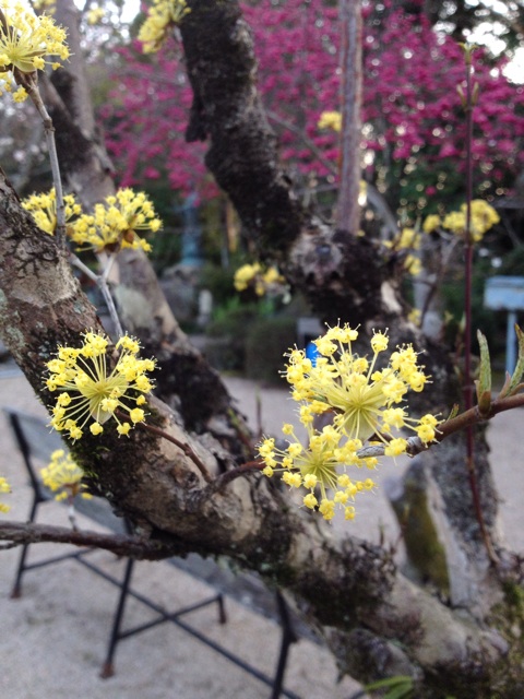 f:id:sprighascome:20140329144836j:plain f:id:sprighascome:20140329144836j:plain