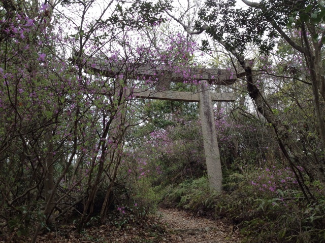 f:id:sprighascome:20140412135626j:plain f:id:sprighascome:20140412135626j:plain