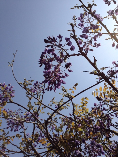 f:id:sprighascome:20140419181503j:plain f:id:sprighascome:20140419181503j:plain