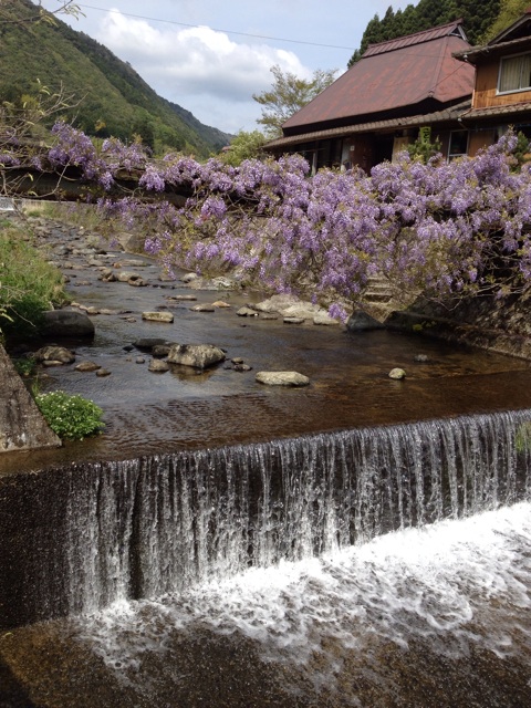 f:id:sprighascome:20140427205929j:plain f:id:sprighascome:20140427205929j:plain