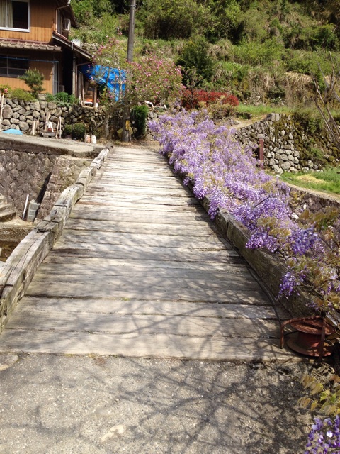 f:id:sprighascome:20140427213103j:plain f:id:sprighascome:20140427213103j:plain