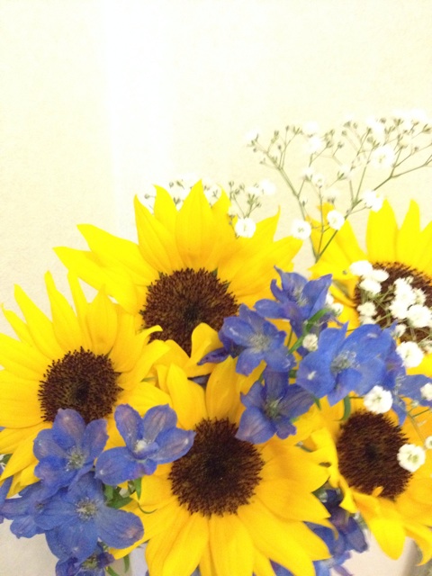 f:id:sprighascome:20140502232124j:plain f:id:sprighascome:20140502232124j:plain