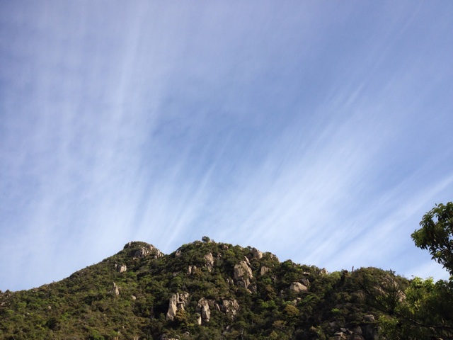 f:id:sprighascome:20140504213553j:plain f:id:sprighascome:20140504213553j:plain