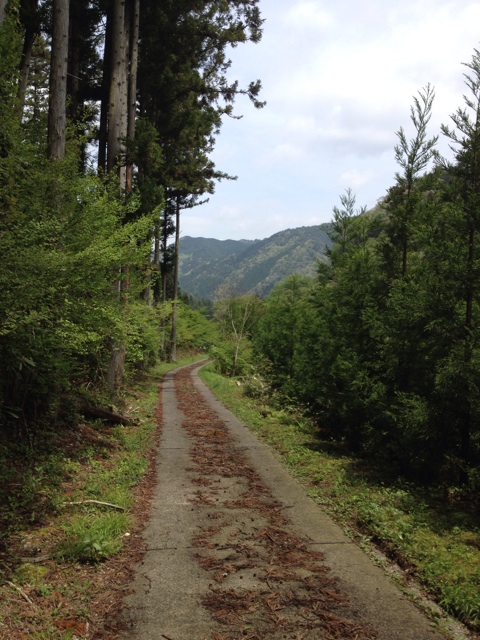 f:id:sprighascome:20140506200228j:plain f:id:sprighascome:20140506200228j:plain