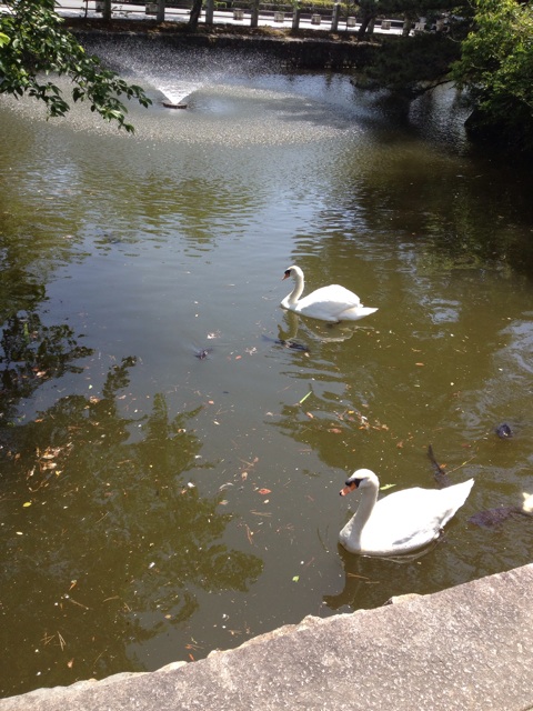 f:id:sprighascome:20140518192347j:plain f:id:sprighascome:20140518192347j:plain