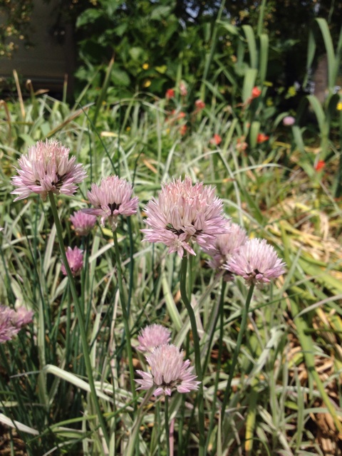 f:id:sprighascome:20140521223014j:plain f:id:sprighascome:20140521223014j:plain