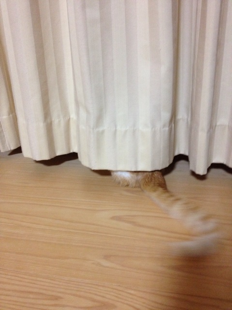 f:id:sprighascome:20140602234409j:plain f:id:sprighascome:20140602234409j:plain