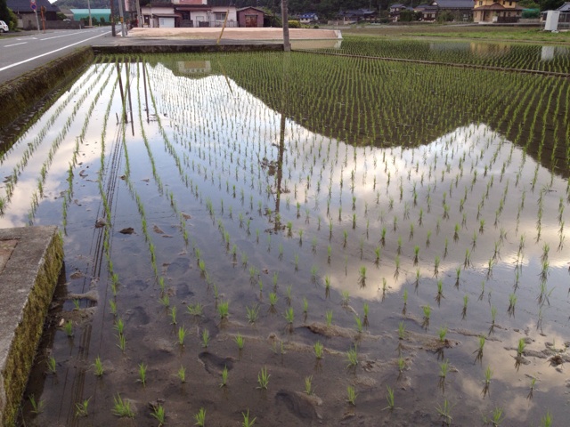 f:id:sprighascome:20140607235425j:plain f:id:sprighascome:20140607235425j:plain