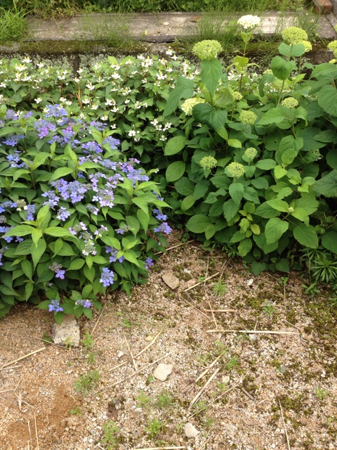 f:id:sprighascome:20140608001705j:plain f:id:sprighascome:20140608001705j:plain