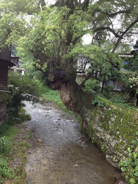f:id:sprighascome:20140716230554j:plain f:id:sprighascome:20140716230554j:plain