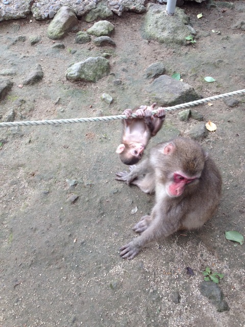 f:id:sprighascome:20140716232234j:plain f:id:sprighascome:20140716232234j:plain