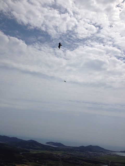 f:id:sprighascome:20140915185313j:plain f:id:sprighascome:20140915185313j:plain