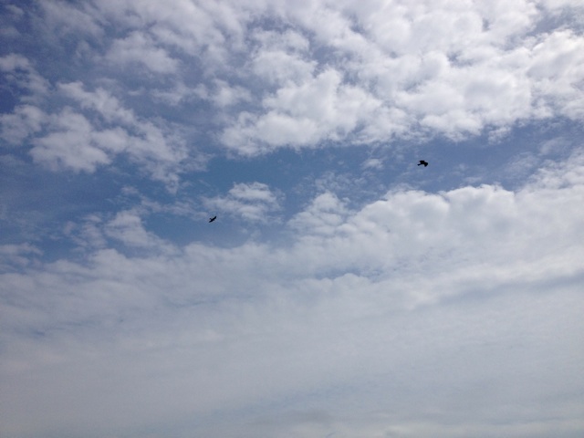 f:id:sprighascome:20140915185340j:plain f:id:sprighascome:20140915185340j:plain