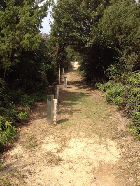 f:id:sprighascome:20140927205845j:plain f:id:sprighascome:20140927205845j:plain