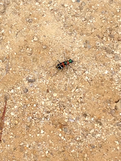 f:id:sprighascome:20140927210435j:plain f:id:sprighascome:20140927210435j:plain