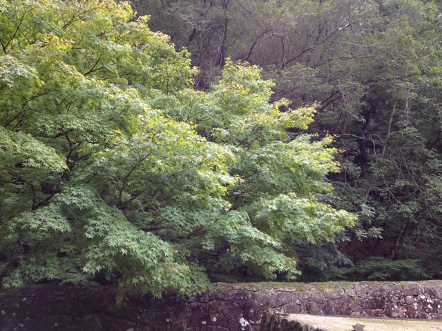 f:id:sprighascome:20141008213352j:plain f:id:sprighascome:20141008213352j:plain