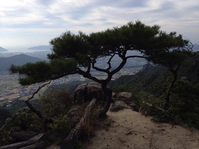 f:id:sprighascome:20141011170807j:plain f:id:sprighascome:20141011170807j:plain