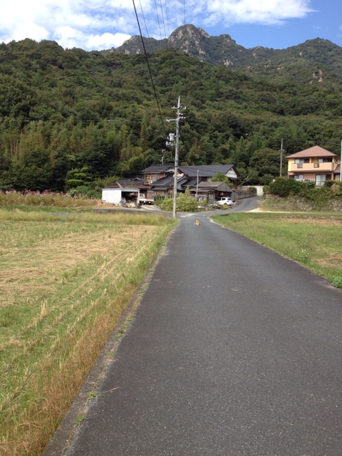 f:id:sprighascome:20141011172550j:plain f:id:sprighascome:20141011172550j:plain