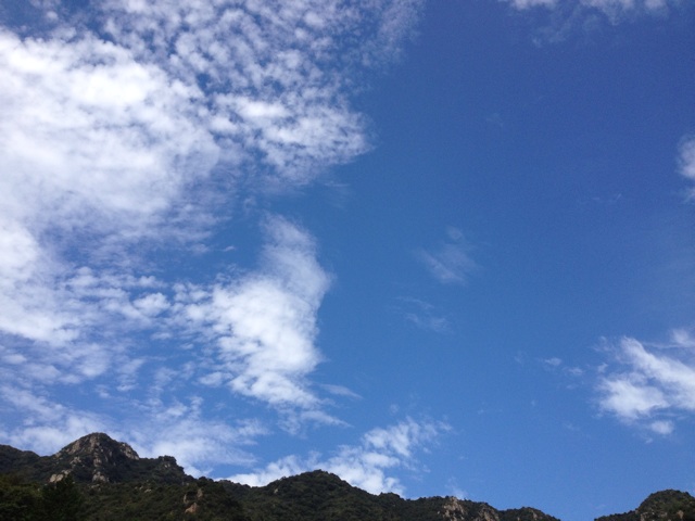 f:id:sprighascome:20141011173638j:plain f:id:sprighascome:20141011173638j:plain