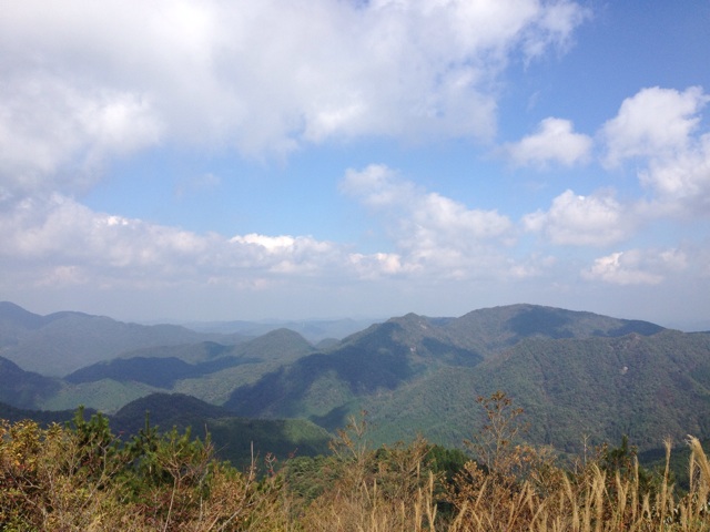 f:id:sprighascome:20141025211430j:plain f:id:sprighascome:20141025211430j:plain