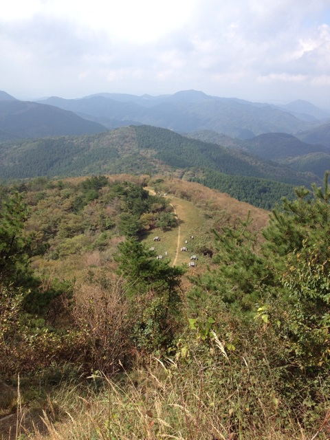 f:id:sprighascome:20141025211454j:plain f:id:sprighascome:20141025211454j:plain