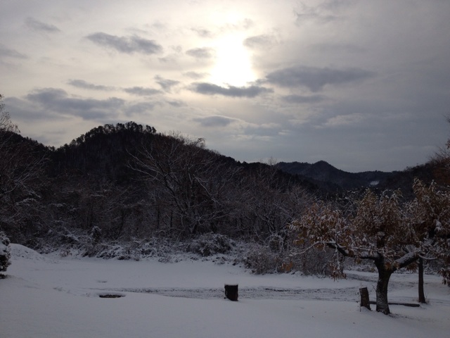 f:id:sprighascome:20141207204106j:plain f:id:sprighascome:20141207204106j:plain