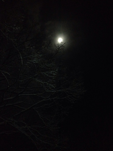 f:id:sprighascome:20141207211245j:plain f:id:sprighascome:20141207211245j:plain