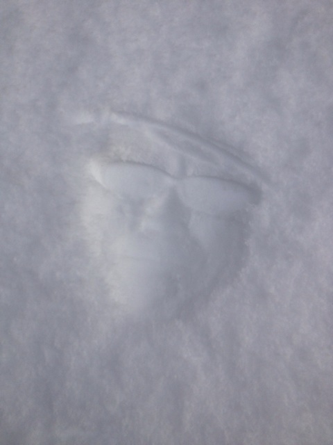 f:id:sprighascome:20141207213323j:plain f:id:sprighascome:20141207213323j:plain