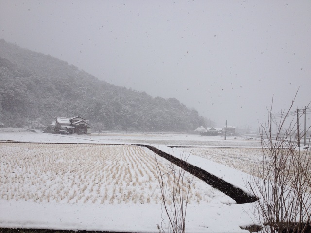 f:id:sprighascome:20150101124835j:plain f:id:sprighascome:20150101124835j:plain