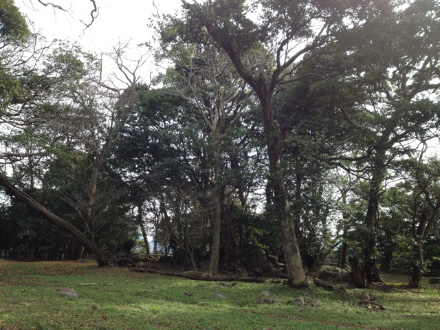 f:id:sprighascome:20150104012244j:plain f:id:sprighascome:20150104012244j:plain