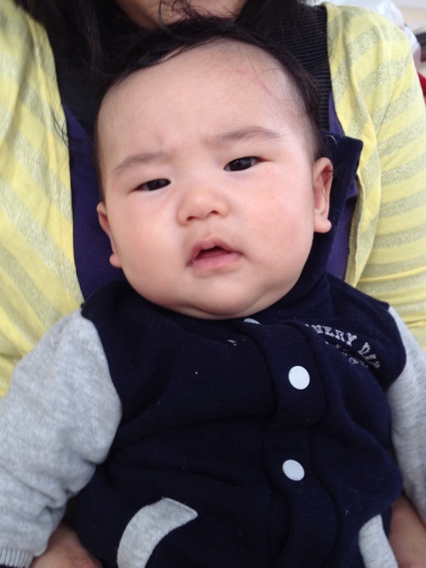 f:id:sprighascome:20150113205509j:plain f:id:sprighascome:20150113205509j:plain