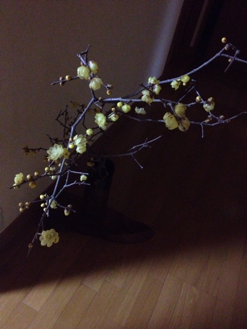 f:id:sprighascome:20150125214034j:plain f:id:sprighascome:20150125214034j:plain