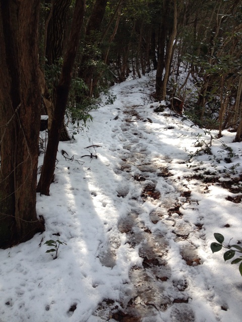 f:id:sprighascome:20150207182925j:plain f:id:sprighascome:20150207182925j:plain