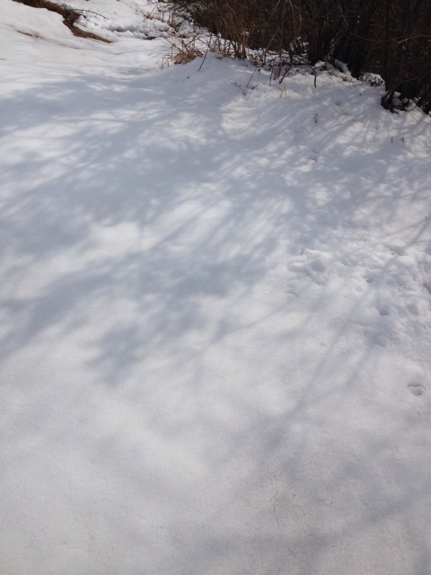 f:id:sprighascome:20150207190557j:plain f:id:sprighascome:20150207190557j:plain