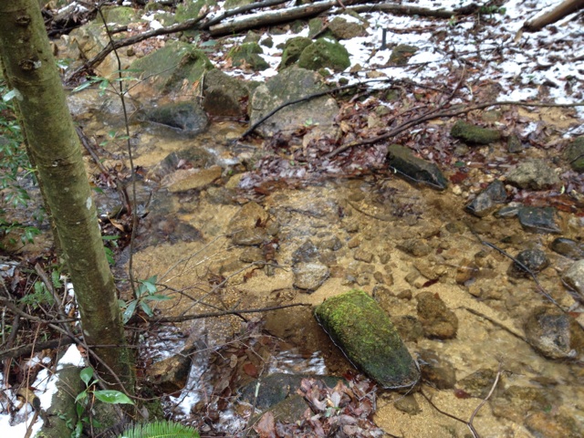 f:id:sprighascome:20150208205153j:plain f:id:sprighascome:20150208205153j:plain