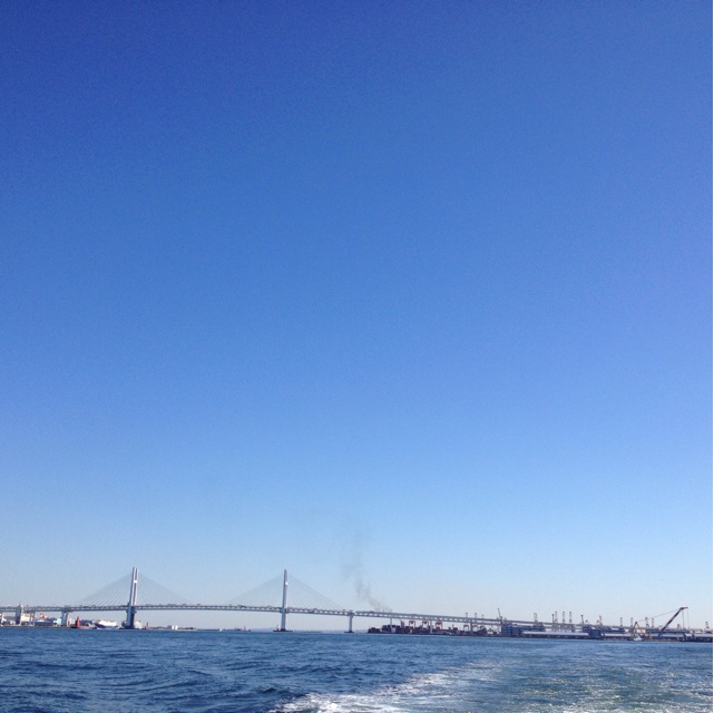 f:id:sprighascome:20150211224228j:plain f:id:sprighascome:20150211224228j:plain