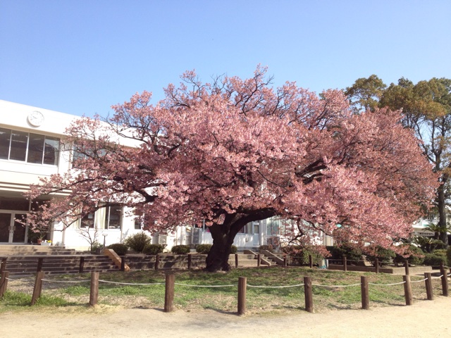 f:id:sprighascome:20150328153600j:plain f:id:sprighascome:20150328153600j:plain
