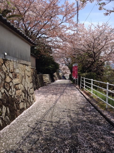 f:id:sprighascome:20150405181038j:plain f:id:sprighascome:20150405181038j:plain