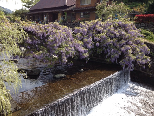 f:id:sprighascome:20150429135530j:plain f:id:sprighascome:20150429135530j:plain