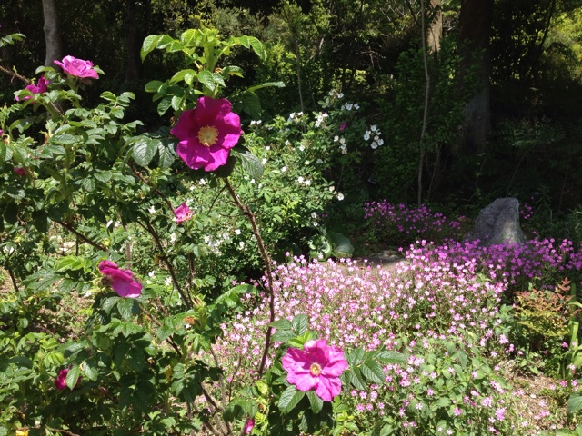 f:id:sprighascome:20150513220813j:plain f:id:sprighascome:20150513220813j:plain