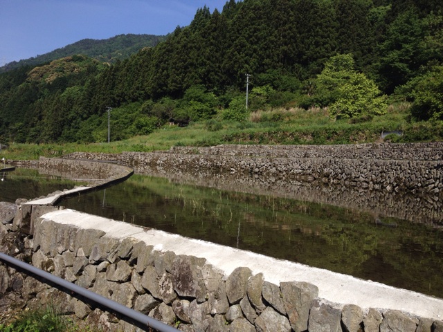 f:id:sprighascome:20150517221747j:plain f:id:sprighascome:20150517221747j:plain