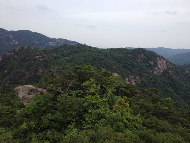f:id:sprighascome:20150524175510j:plain f:id:sprighascome:20150524175510j:plain