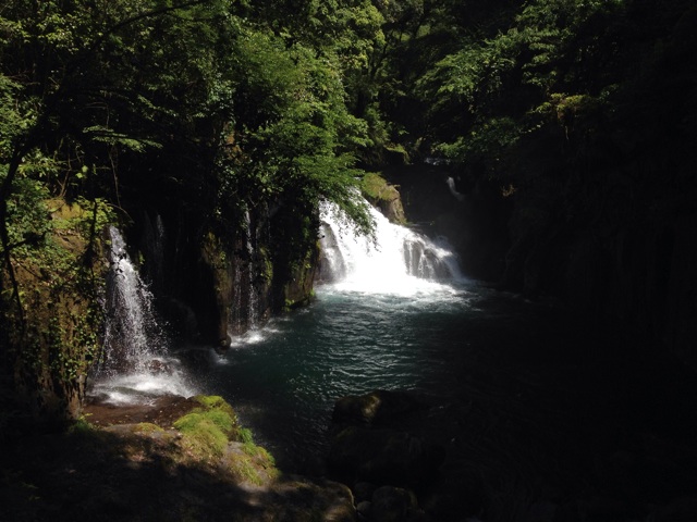 f:id:sprighascome:20150608214404j:plain f:id:sprighascome:20150608214404j:plain