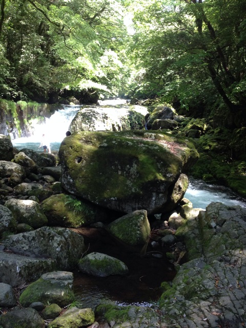 f:id:sprighascome:20150608214610j:plain f:id:sprighascome:20150608214610j:plain