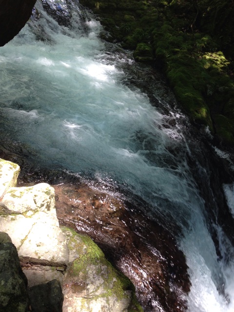 f:id:sprighascome:20150608224108j:plain f:id:sprighascome:20150608224108j:plain