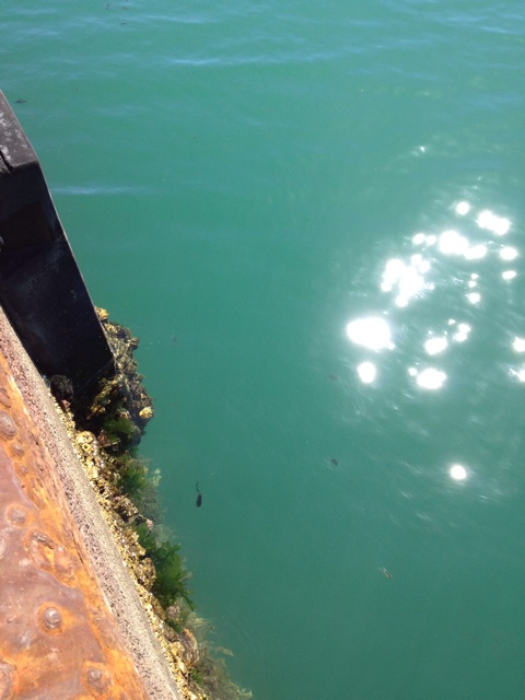 f:id:sprighascome:20150726004344j:plain f:id:sprighascome:20150726004344j:plain