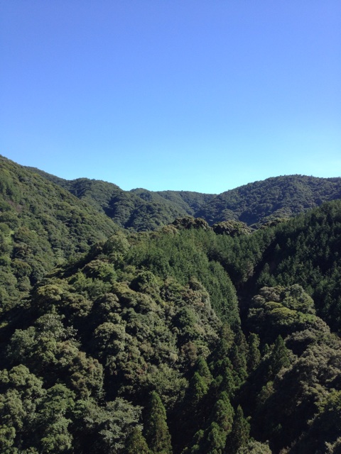 f:id:sprighascome:20150726005447j:plain f:id:sprighascome:20150726005447j:plain