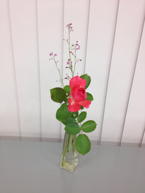 f:id:sprighascome:20150907231818j:plain f:id:sprighascome:20150907231818j:plain