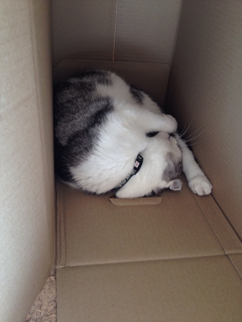 f:id:sprighascome:20150921183106j:plain f:id:sprighascome:20150921183106j:plain