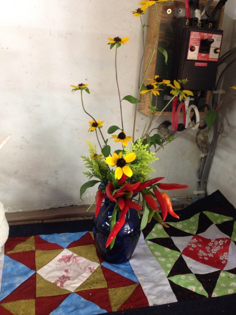 f:id:sprighascome:20151004150301j:plain f:id:sprighascome:20151004150301j:plain